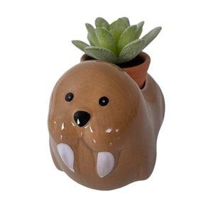 Walrus Ceramic Animal Succulent Planter Pot, Coastal Marine Home Decor, 3.25”